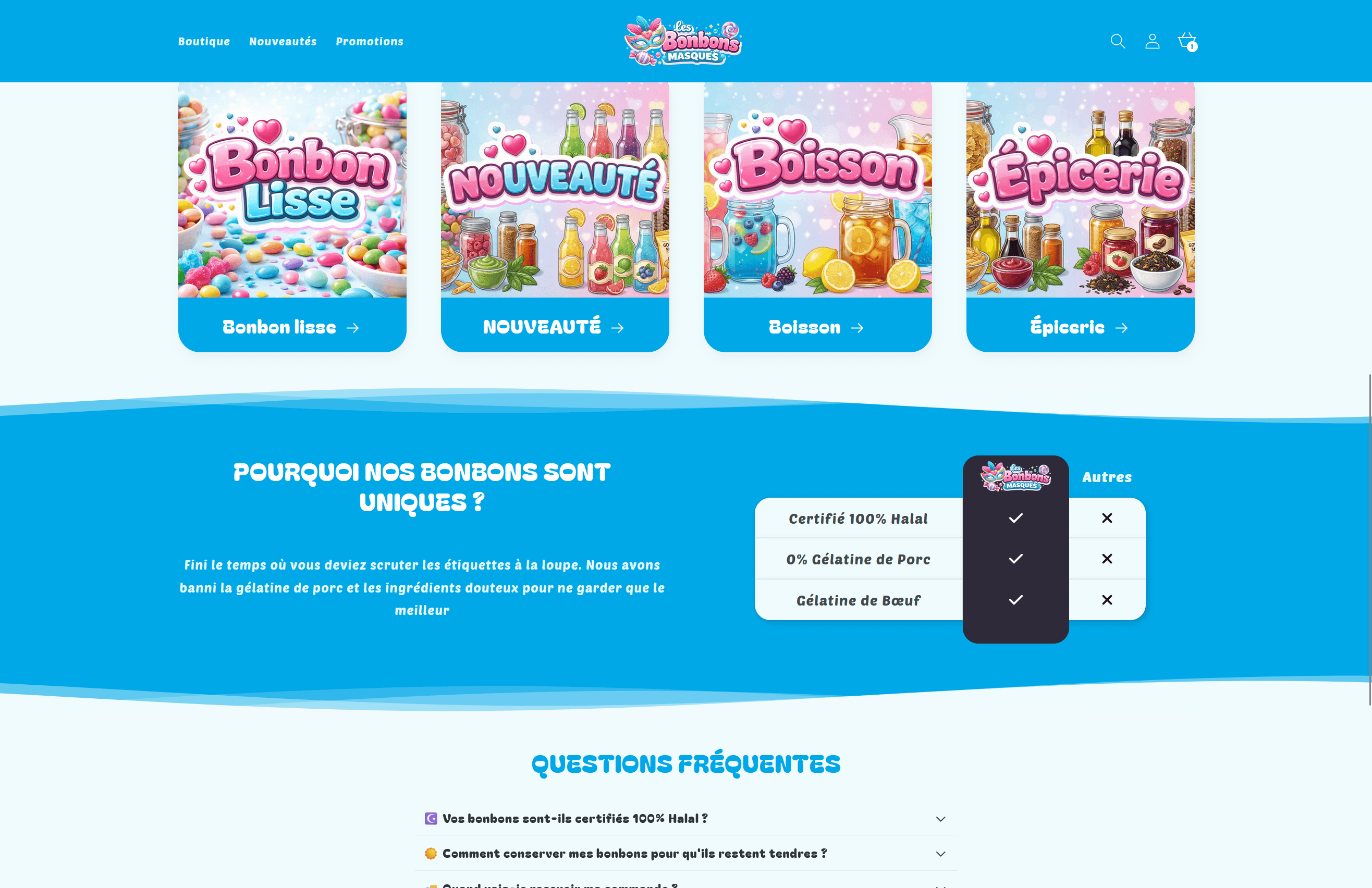 Réalisation Création Site Shopify France - Desktop